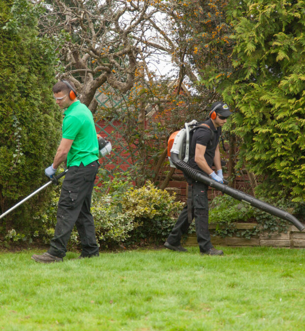 Garden Cleaning