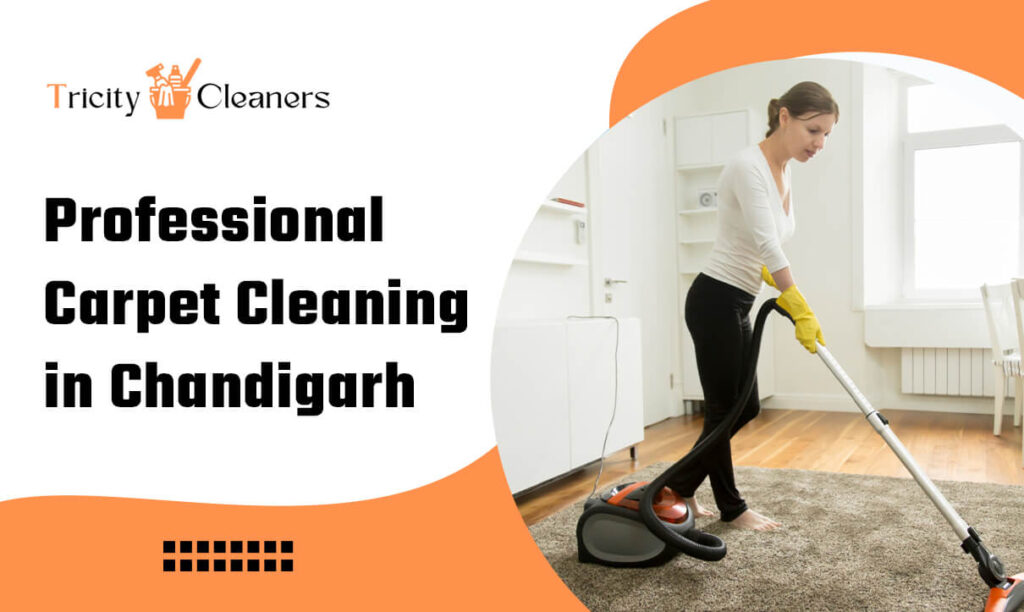 Professional Carpet Cleaning in Chandigarh